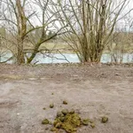 Ugrabili so ga zaradi ukradenih 30 pušk, 300.000 evrov in kokaina