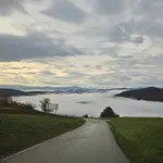Vreme: Ne le dež, prihaja še ta nadloga