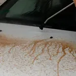 Avtomobile bo ta teden zasul puščavski prah, pozor ob odstranjevanju