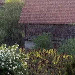 Vreme: Te dni bo pri nas povečana verjetnost za padavine