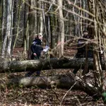 Veter podrl drevo, ki je padlo na skupino ljudi: Trije mrtvi, tudi dojenček