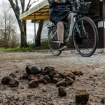 "Obsojamo vsakršno obliko nasilja in zlorabe"