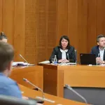 Policisti pri nekdanji poslanki SDS opravili hišno preiskavo in našli konopljo
