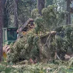 Pod prevrnjenim traktorjem našli mrtvega voznika