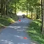 Grozljiv prizor na rallyju Železniki, po saltah z vozilom v gozd