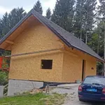 Med gradnjo vikenda odjeknili streli, Štefan in Borut sta umrla