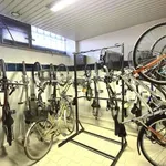 Nimate kolesa? V Ljubljani si ga lahko za dlje časa izposodite brezplačno