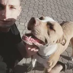 29-letni režiser umrl v bizarni nesreči