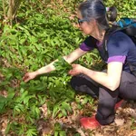 Tragedija pri nabiranju čemaža: Umrli dve osebi