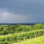 Po nevihtah hladna fronta, pred nami nekaj sivih dni
