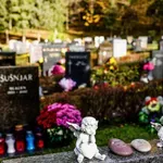 Država bo pokrila približno 1200 evrov stroškov na žrtev