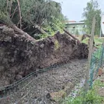 Upali, da bo pridelek dober, nato so prišle petkove nevihte