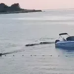 V hrvaškem kampu turisti posneli nenavaden prizor