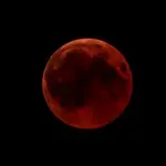 Dnevni horoskop za petek, 28. avgusta
