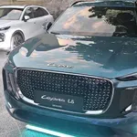 Kaj ima leopard skupnega z avtomobili? Odgovor je nova avtomobilska znamka Lepas