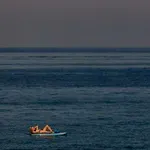 Video: Prvi posnetek velikega belega morskega psa v Sredozemskem morju