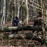 Velikonočna tragedija: Drevo padlo na skupino ljudi, med mrtvimi tudi dojenčica