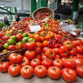 Greška s čuvanjem paradajza koja je podelila Srbe