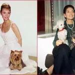 Ljubimci poznatih žena koji su živeli kao kraljevi