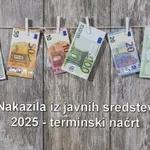 Nakazila iz javnih sredstev 2025 – terminski načrt