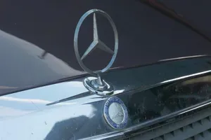 V Slatini pri Šmartnem ob Paki smo odkrili Mercedesovo legendo
