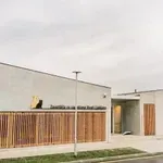 Dan odprtih vrat v Zavetišču Ljubljana ob Svetovnem dnevu mačk