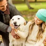 Pasme psov, ki ljubijo otroke in so odlični družinski spremljevalci