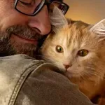 Kako dolgo si mačke zapomnijo svoje lastnike?