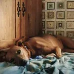 Zakaj nekateri psi raje spijo na tleh ob vratih kot v svoji postelji?