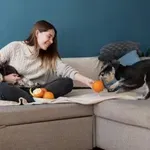 Kako urediti dom, da bo varen in prijazen do hišnih ljubljenčkov