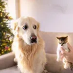 Njuna reakcija ob prvem srečanju je osvojila internet