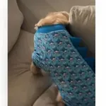 Lastniki so za kavčem odkrili skrivno zbirko nogavic svojega psa