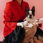 Če se prepoznate v teh navadah, pes ni prava izbira za vas