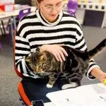 Ta maček vodi celo šolo in ima eno posebno zahtevo