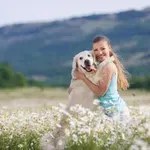 Ta priljubljena spomladanska roža je nevarna za pse