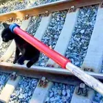 Mucka so našli na tirih, sekunde so odločale o njegovem življenju