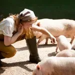 To so najpametnejše domače živali: ena vas bo zagotovo presenetila