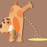 Pes pogosto urinira? Tega znaka nikar ne spreglejte